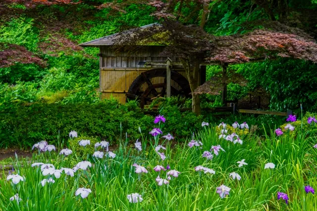 町田市の風景