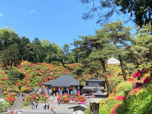 青梅市