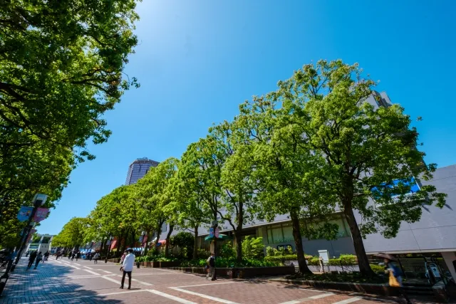 多摩市・TAMATAMA FESTIVAL ２０２６｜１０月１７・１８日、無料ライブと会場案内【開催終了】