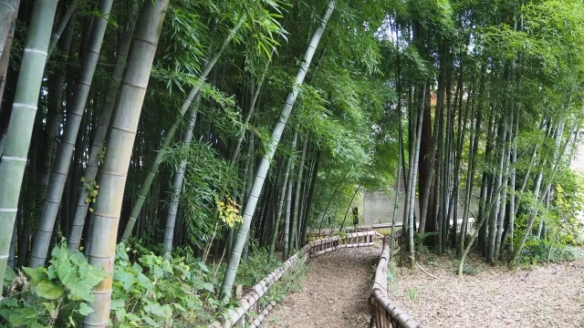 東久留米市の風景