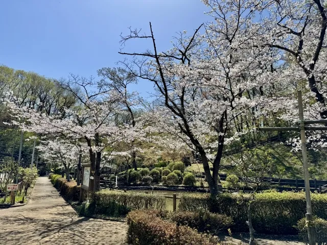 武蔵村山市の風景