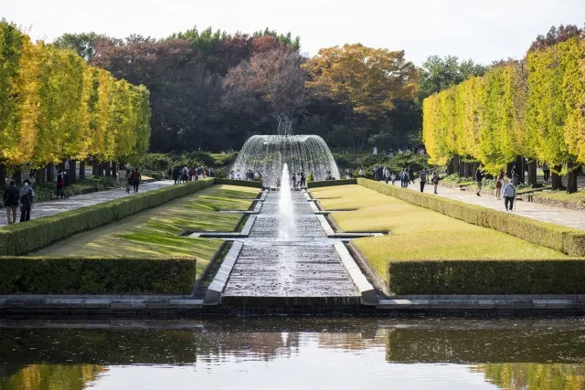 こども盆栽教室2026|昭和記念公園でミニ盆栽づくり