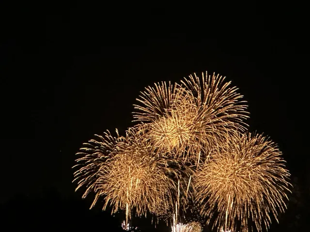 第41回調布花火｜2026年9月12日は雨天中止で開催終了