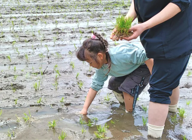 体験する