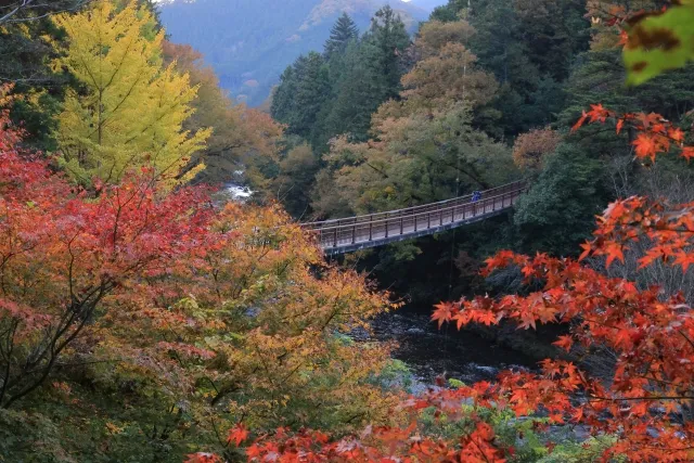 秋川渓谷