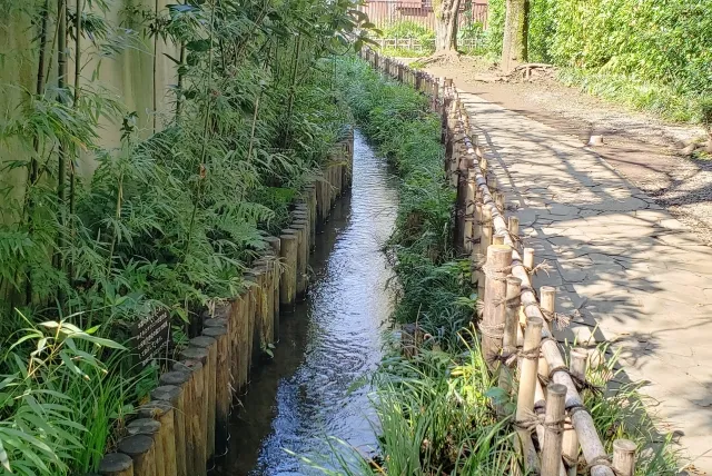 お鷹の道・真姿の池湧水群