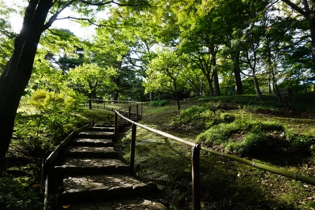 殿ヶ谷戸庭園