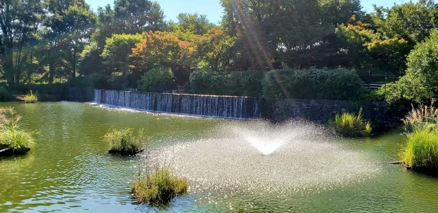 都立武蔵国分寺公園