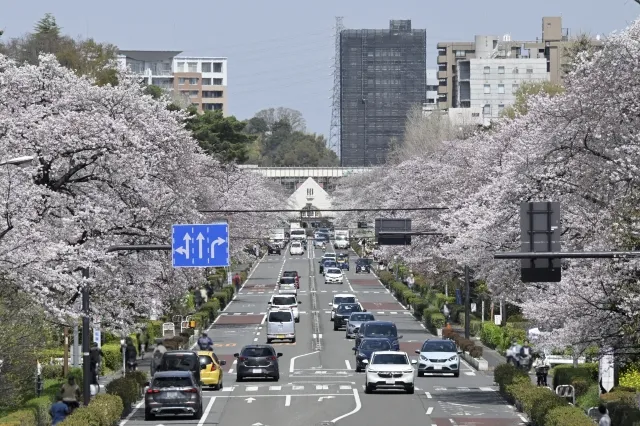 大学通り