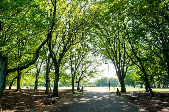 小金井公園