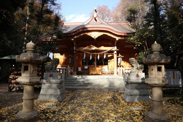 小金井神社例大祭2026|子ども神輿・大太鼓・山車と弓道体験を楽しむ2日間【開催終了】