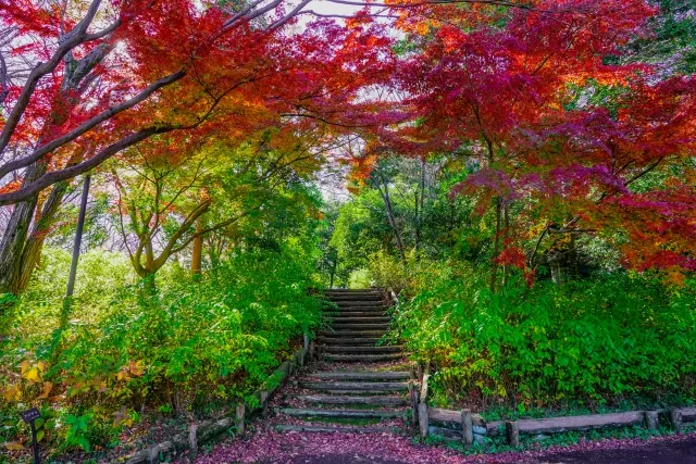 府中市郷土の森博物館