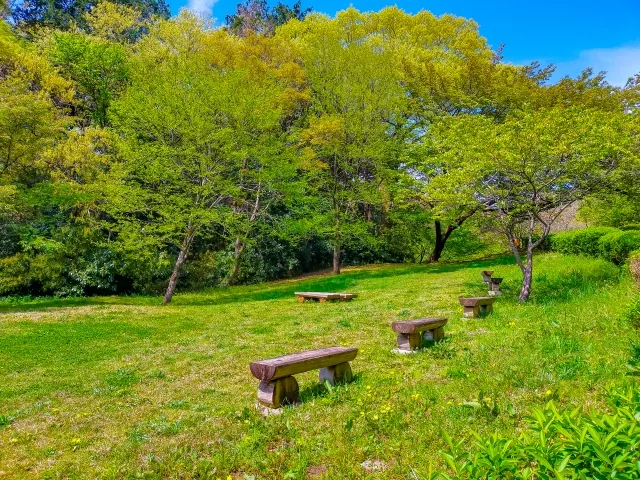 六道山公園