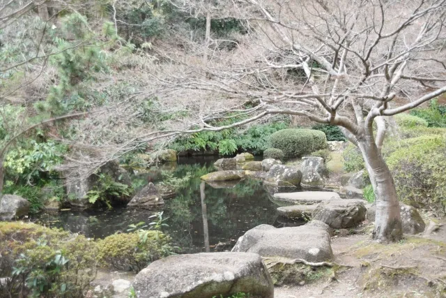 芹ヶ谷公園