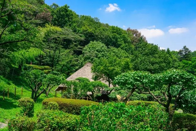 町田薬師池公園 四季彩の杜 薬師池
