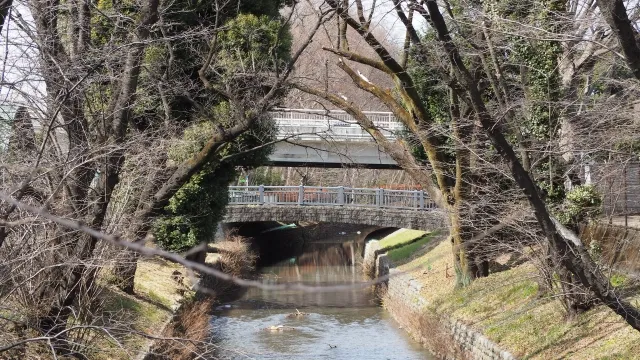 玉川上水と日光橋公園