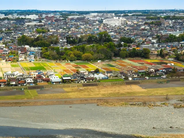 根がらみ前水田