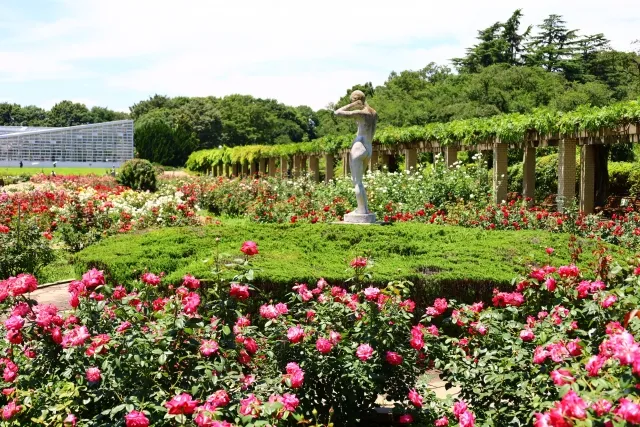 神代植物公園
