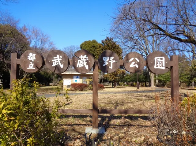 武蔵野はらっぱ祭り２０２６｜小金井・くじら山で１０月３１日・１１月１日、時間とアクセス